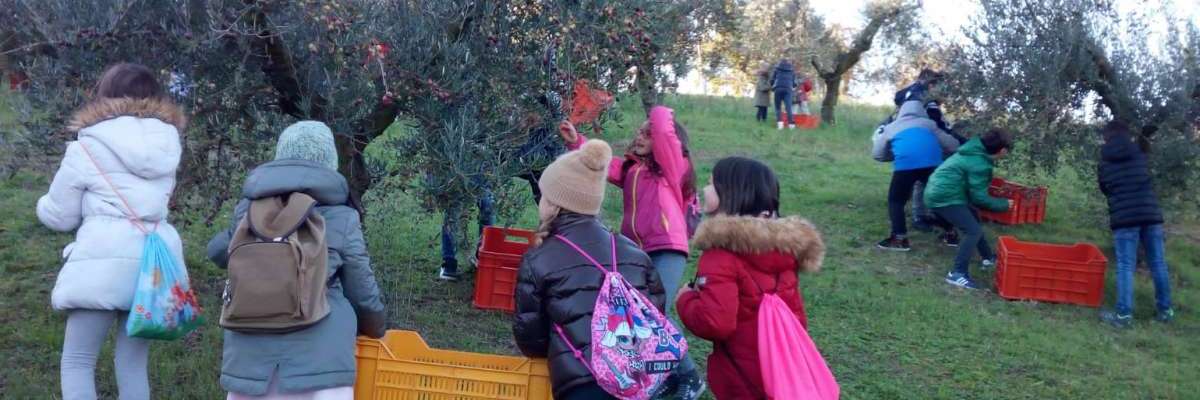 Visita scolastica e attività didattica al Frantoio Sassetti